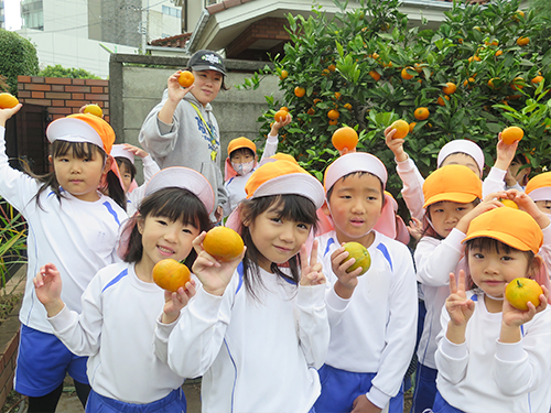ミカン狩り
